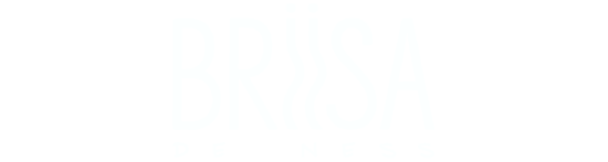 Logo ristorante Briisa Nesso